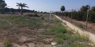Finca rústica a Las Bayas. Terreno rural en elche, 12000 m2