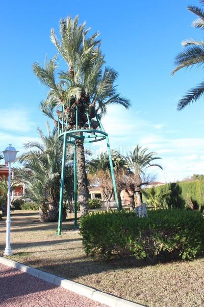 Foto 04f1a82c-6fa5-4cc7-b3ef-c7e19d45d14e. Xalet amb calefacció piscina a Valverde Elche / Elx