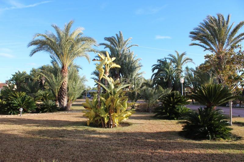 Foto 05d7e67f-7ac7-4f16-8064-0012831edc9b. Xalet amb calefacció piscina a Valverde Elche / Elx