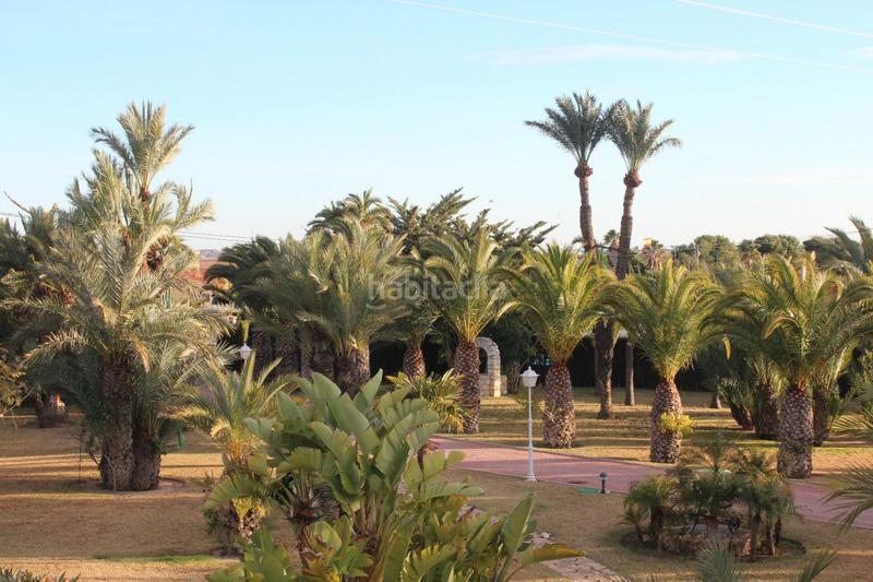 Foto 06e436ae-fed5-4f2f-b1dc-ce676cbc41a2. Xalet amb calefacció piscina a Valverde Elche / Elx