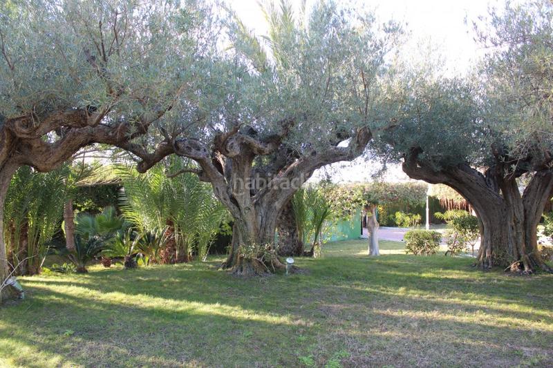 Foto 15c789c0-81df-42db-8ab6-cc47c1286aa7. Xalet amb calefacció piscina a Valverde Elche / Elx