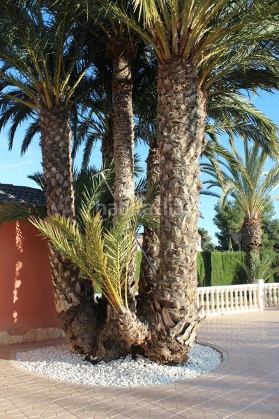 Foto 25dd907d-ff97-49f5-9e53-4741dec2fd49. Xalet amb calefacció piscina a Valverde Elche / Elx