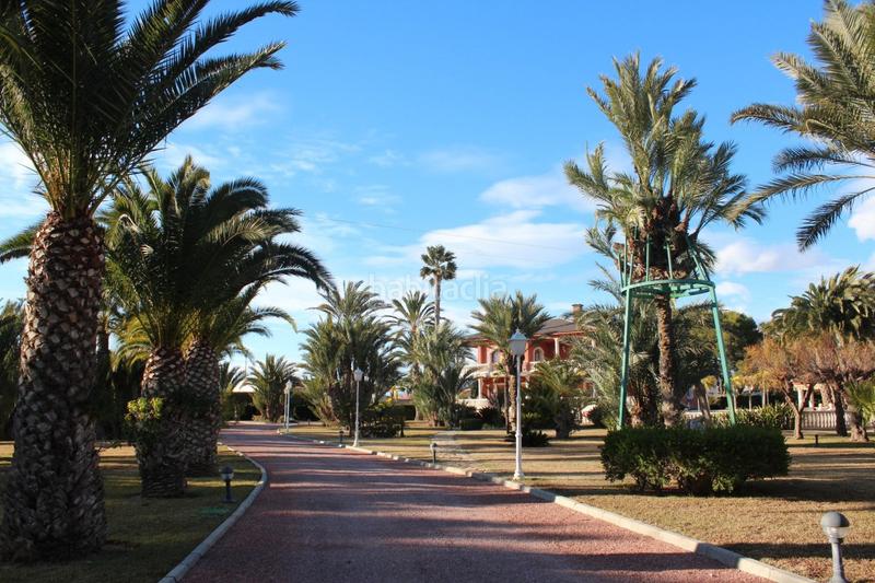 Foto 313f073d-77f4-45a1-8296-8b4d361cc65e. Xalet amb calefacció piscina a Valverde Elche / Elx