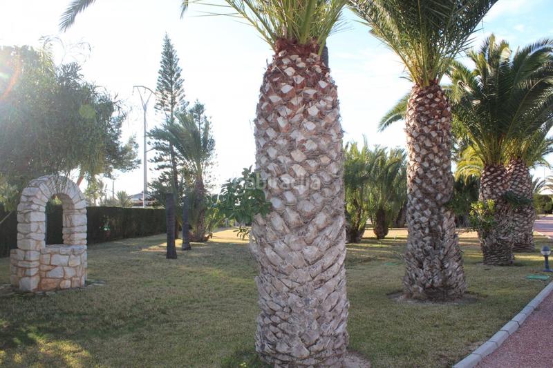 Foto 5ac221c3-d832-40ff-8be6-d0e4f910ec23. Xalet amb calefacció piscina a Valverde Elche / Elx