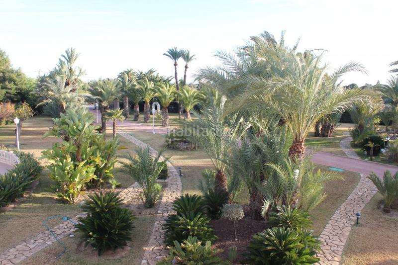 Foto 72571dab-2752-4ddd-9ad9-de2e7e4db3f3. Xalet amb calefacció piscina a Valverde Elche / Elx