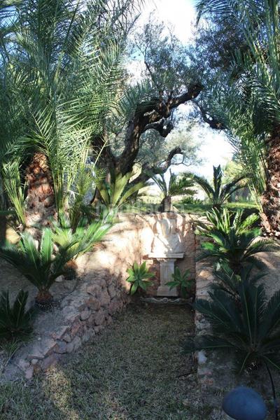 Foto 940e4cf2-df2f-4631-abba-33fb22c5dc9f. Xalet amb calefacció piscina a Valverde Elche / Elx