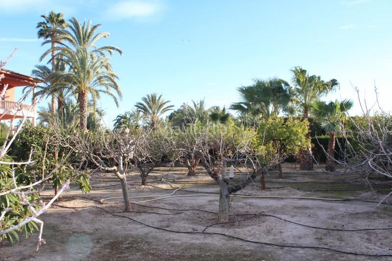 Foto 9c195ca2-9bbc-465b-ab76-c4e3a2fc3eab. Xalet amb calefacció piscina a Valverde Elche / Elx