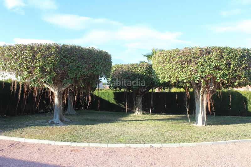 Foto bd0c6afb-7b47-485a-b0fe-b61045038a0f. Xalet amb calefacció piscina a Valverde Elche / Elx