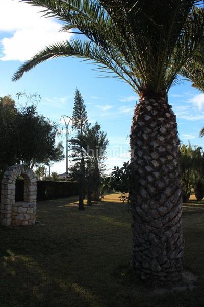 Foto e2a5f485-7a9f-43ea-90e9-558d4d468127. Xalet amb calefacció piscina a Valverde Elche / Elx