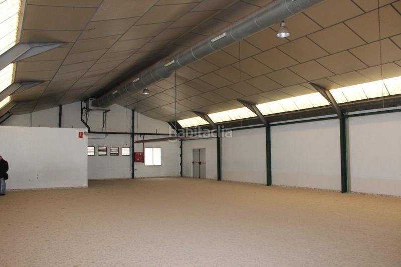Foto 13fe1085-ecce-4d45-b5e1-21baaf187399. Alquiler nave industrial  en elche zona carrus, 815 m2 en Elche / Elx