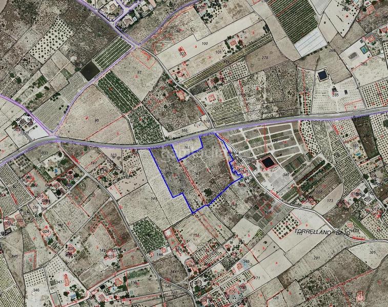 Foto d79cc190-258e-491a-8c12-bd67230a3a66. Propriété dans Perleta - Maitino Elche / Elx