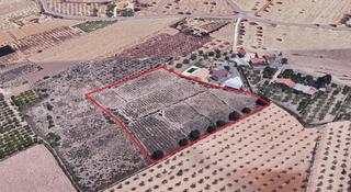 Fondo rustico in Torrellano. Parcela rústica edificable cerca de elche