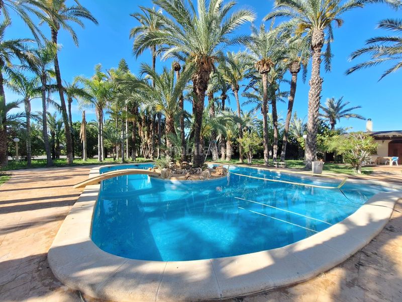 Foto eff034e8-4e54-456d-932c-40da5403b115. Xalet amb aparcament piscina a Alzabares Elche / Elx