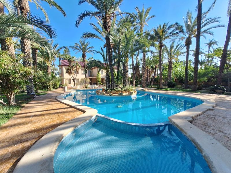 Foto f58783fa-ab41-4fb6-a635-84333b5ddad5. Xalet amb aparcament piscina a Alzabares Elche / Elx