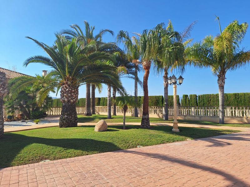 Foto 0ab8889d-6e8f-4a29-9dee-7d18880c27e5. Xalet amb calefacció aparcament piscina a Pedanías Este Aspe
