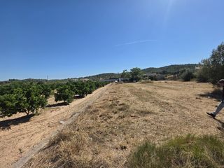 Rural plot in Vilamarxant. Finca rustica