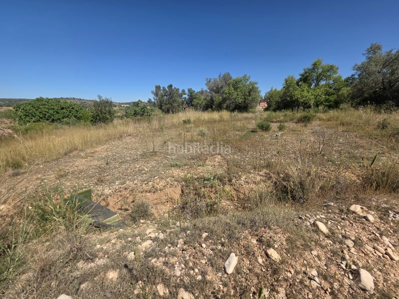 Foto c9180dd6-2e59-4d4c-bbaa-eba4e42d2346. Finca rústica a Vilamarxant