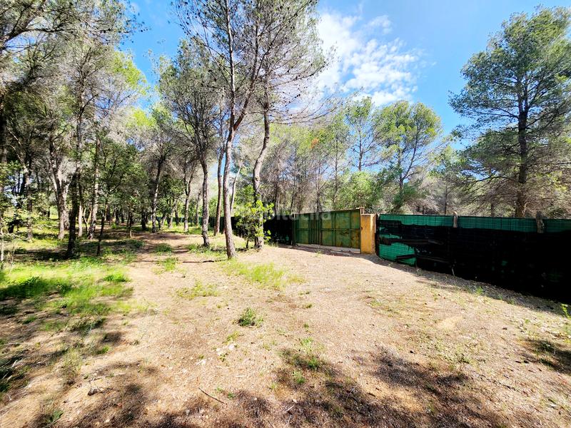 Foto ce92034b-82a1-4a8f-9a8d-dab46114de1a. Alquiler masía masia en venta aplazada collbató en Esparreguera