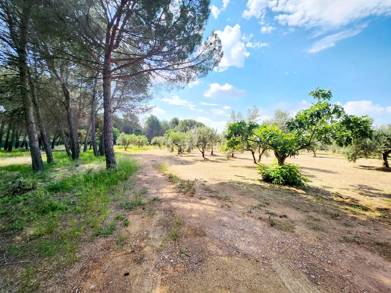 Foto e158cf3a-ee6e-49ed-a334-9964fabb99a7. Rent country house with fireplace heating parking pool in Esparreguera