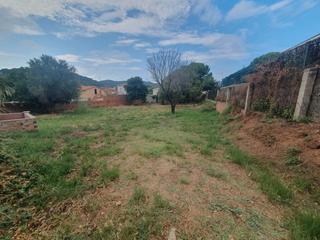 Terreny residencial  Carrer mimosa