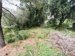 Rent Residential Plot in Piera