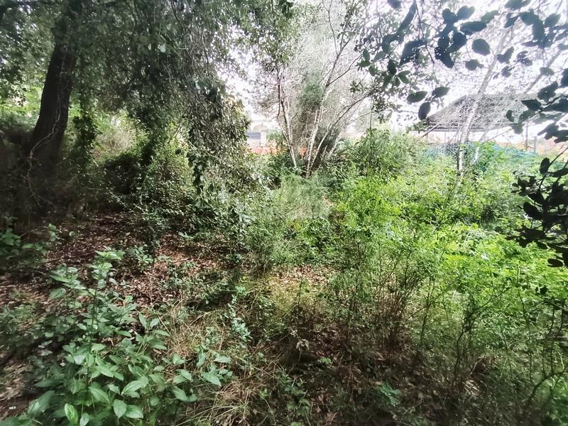 Foto 43d8a5c6-5432-48f4-ad25-9961542ec420. Miete wohngrundstück in Piera