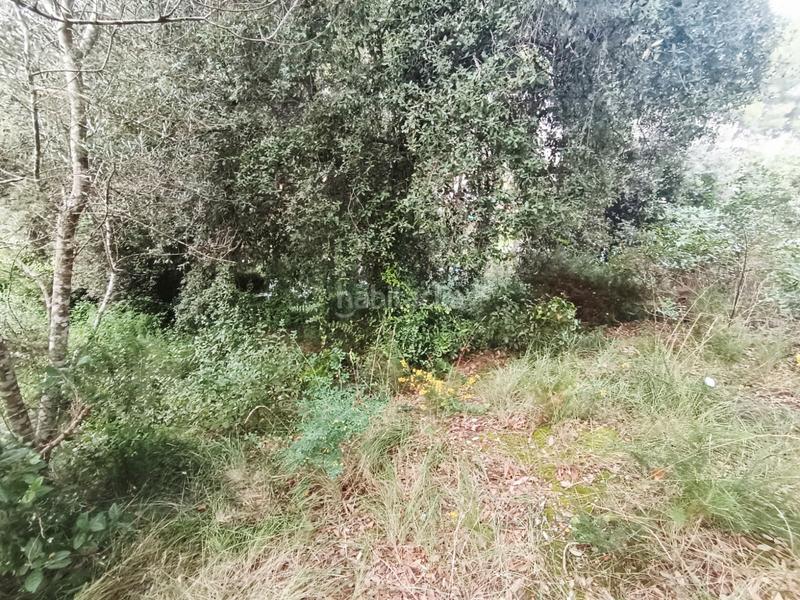 Foto a4accba7-b99f-429b-9b23-8415758432a6. Miete wohngrundstück in Piera