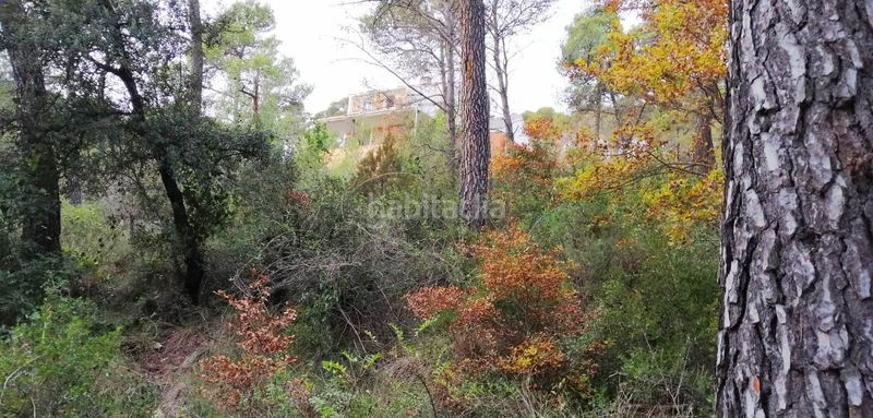 Foto 5b1de0ed-3e72-4279-a9c6-9956db7401be. Chalet en Llacuna (La)
