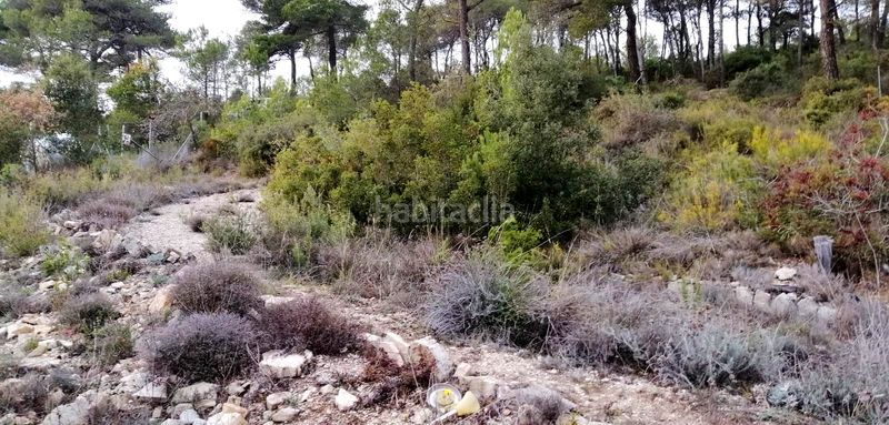 Foto b87c72b3-22fc-4172-a56c-75b2f010d119. Chalet en Llacuna (La)