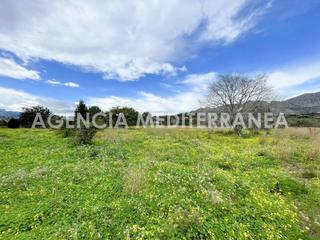 Terreny residencial a Beniarbeig. Terreno urbanizable de 11.500m en beniarbeig