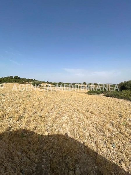 Foto a2c4d2e8-e124-484e-bb7b-cfe8b77dd39e. Masia amb calefacció aparcament piscina a Almansa