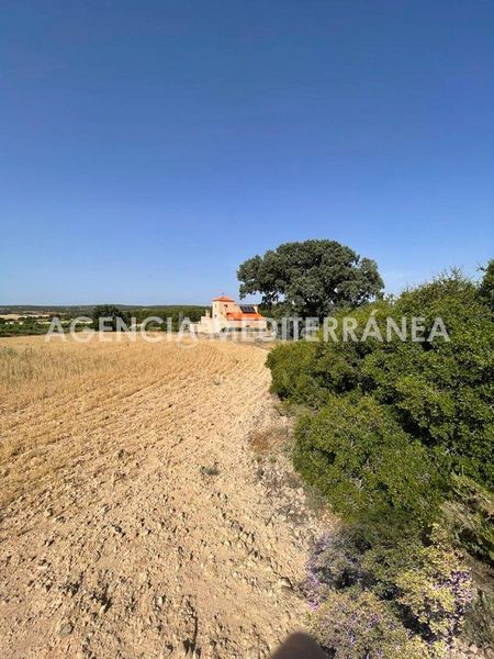 Foto cb5e03f1-c3ca-40f4-98f3-ab52d7683e4a. Masia amb calefacció aparcament piscina a Almansa