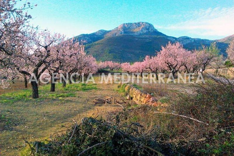 Foto d3737a6f-5f3c-486d-a337-6ca97e24cd19. Chalet avec chauffage parking piscine dans Alcalalí