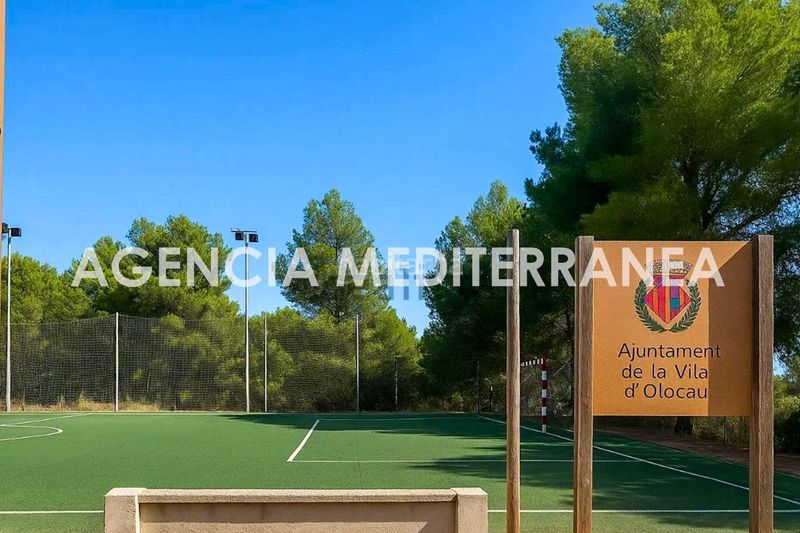 Foto e4f2b196-0284-48c2-985a-273d8148dbbb. Xalet amb piscina a Olocau