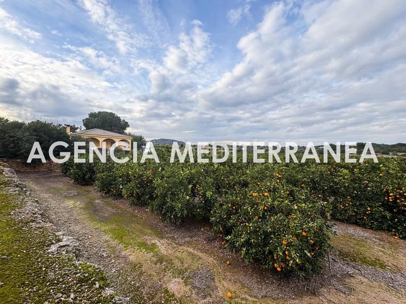 Foto 2658492d-5739-4c91-8609-8832611557c6. Xalet amb aparcament a Polígono del Aeropuerto Manises