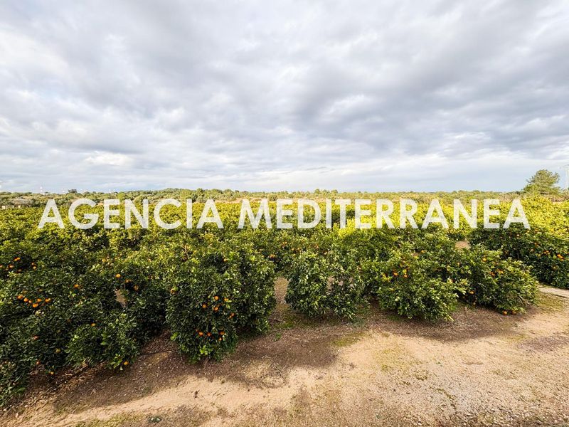 Foto b8afa521-7a10-4cb4-967d-01691fee1f53. Xalet amb aparcament a Polígono del Aeropuerto Manises