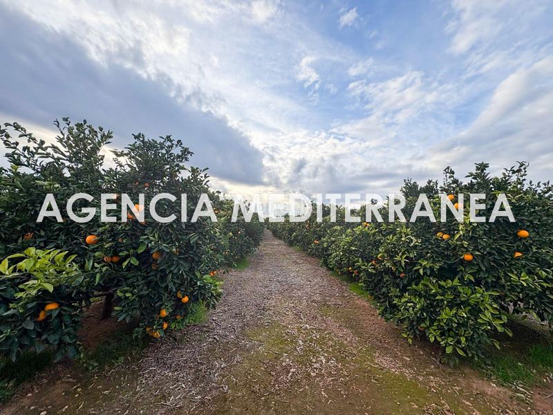 Foto ed7260ab-326a-421b-a4bb-6322f88ddc1a. Xalet amb aparcament a Polígono del Aeropuerto Manises