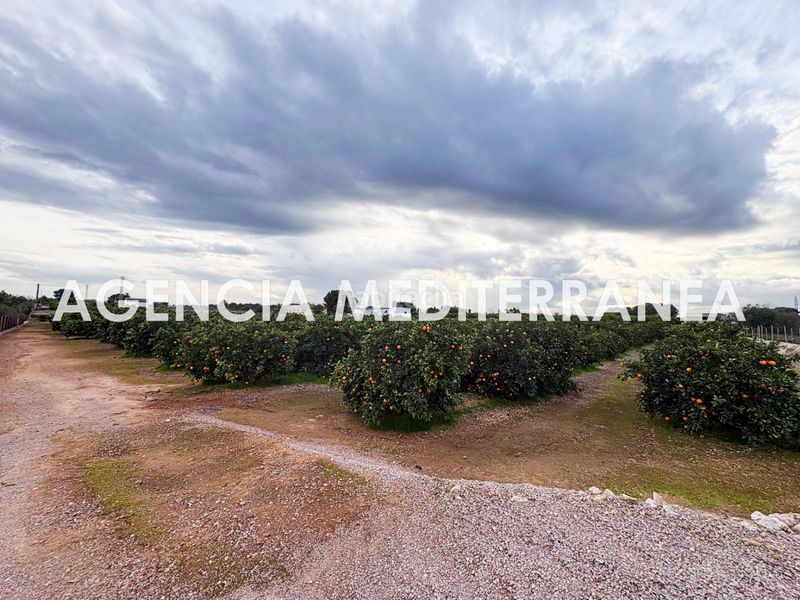 Foto fdbda2fa-5ae2-452e-920e-e7582e23294b. Xalet amb aparcament a Polígono del Aeropuerto Manises