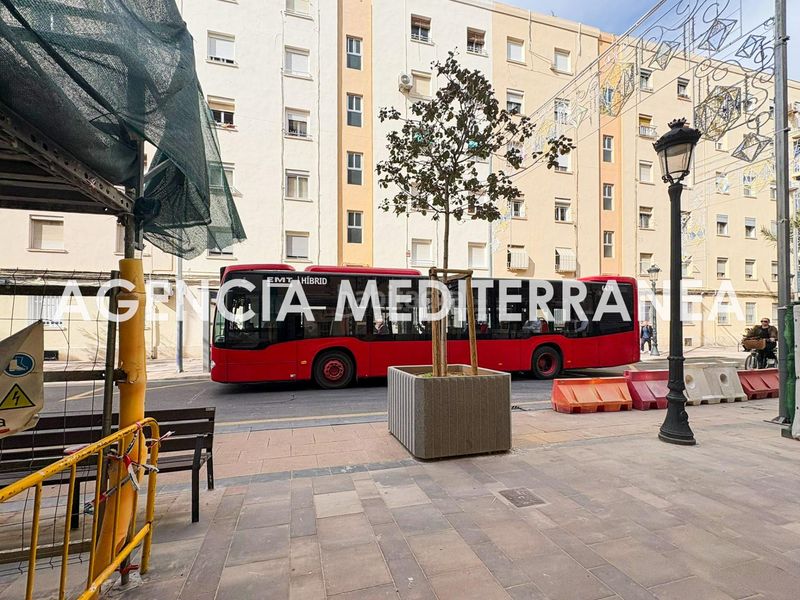 Foto ff3dc267-fc2c-41a3-830e-82121abec721. Pis a Malva Rosa Valencia