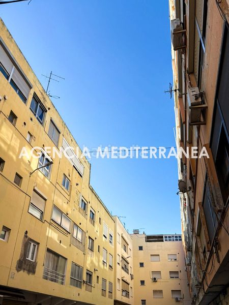 Foto a53de707-3566-480c-b691-58e398e5f895. Pis a Alfafar