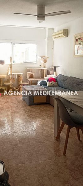 Foto b227d957-83a1-4a54-a093-d86b9615e922. Pis a Nou Moles Valencia
