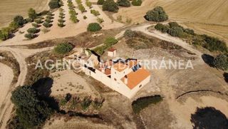 Country house in Diseminado 500. Finca rústica en almansa, de 100 hectáreas con casa unifamiliar
