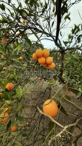 Foto 2b35e07d-107a-450f-abaa-4e30fa7ef4c6. Masia amb xemeneia aparcament a Tébar - Los Arejos Águilas