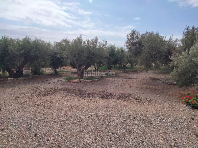 Foto 381238c9-367e-4893-843c-eabfb33e95ba. Masia amb xemeneia aparcament a Tébar - Los Arejos Águilas