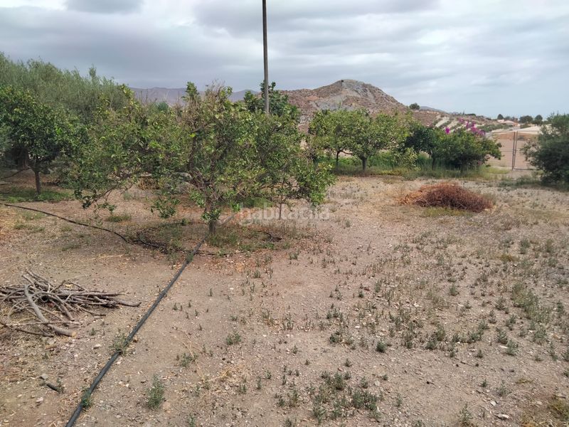 Foto 44227e15-af71-42c5-af74-343c6287c014. Masia amb xemeneia aparcament a Tébar - Los Arejos Águilas