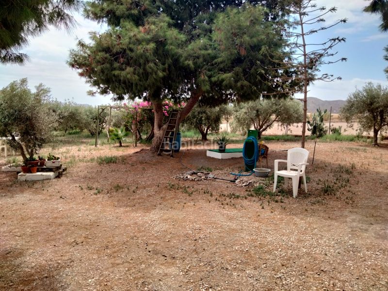 Foto 44fa5d88-7952-4f9b-b03b-7936da7b6fae. Masia amb xemeneia aparcament a Tébar - Los Arejos Águilas