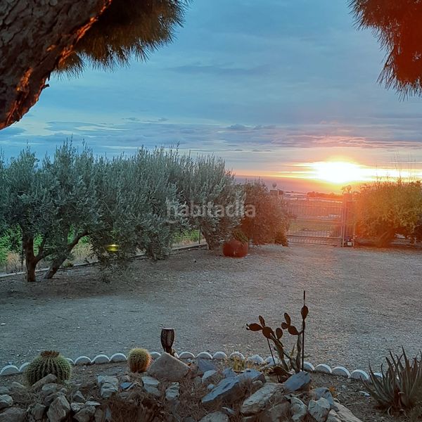 Foto 89efd569-2886-4d09-9de8-a4922e6311a9. Masia amb xemeneia aparcament a Tébar - Los Arejos Águilas