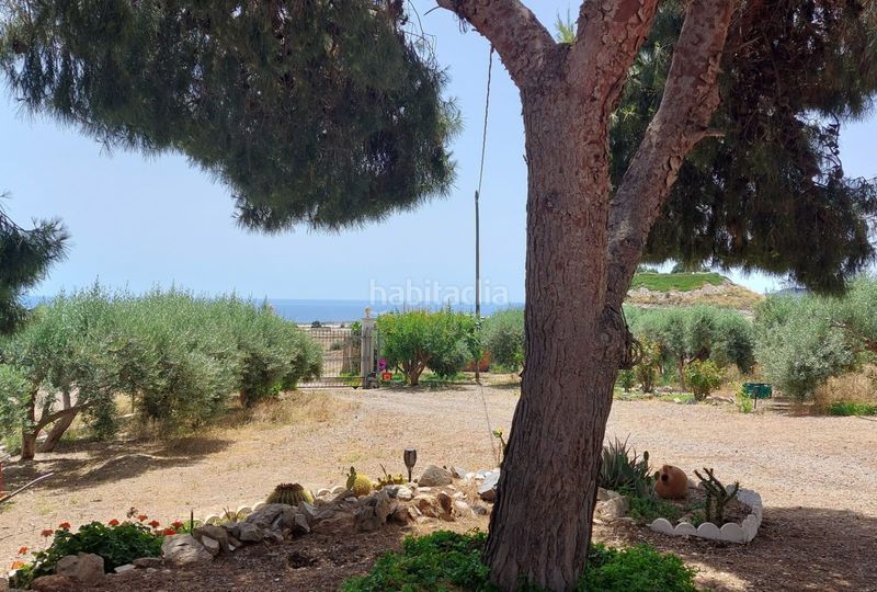 Foto 8fb608bc-8ce3-49d4-989d-9dfdec648f67. Masia amb xemeneia aparcament a Tébar - Los Arejos Águilas