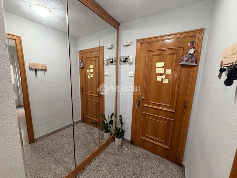 Foto c5bfc76f-6531-4f8c-8ca2-3293b8bd4ee0. Pis a Nou Moles Valencia