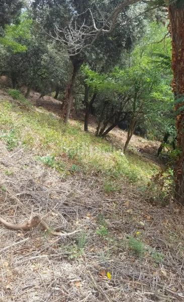 Foto bebfbab8-1643-45fa-8a67-5b3cfb06ddd6. Residential plot in Niàgara Parc -Àgora Parc Tordera